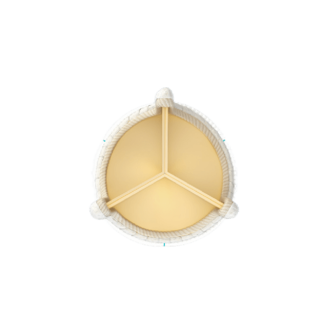 AKSOPEEK XR-Biological Valve Frame